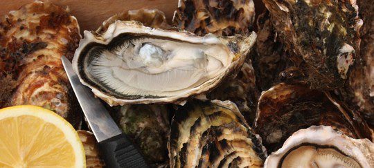 Las ostras, el alimento afrodisiaco por excelencia