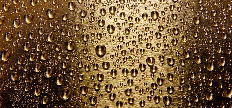 Entérate bien de todos los aspectos de la lluvia dorada