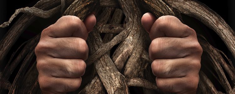 Los hombres que realizan está práctica buscan agujeros o protuberancias que posean atributos sexuales