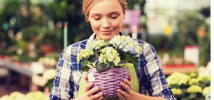No siempre que hueles flores vas a sentir deseo sexual