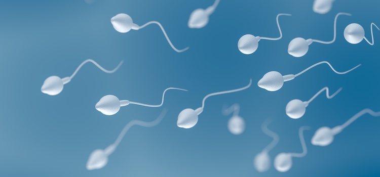 El preservativo femenino está lubricado con productos espermicidas