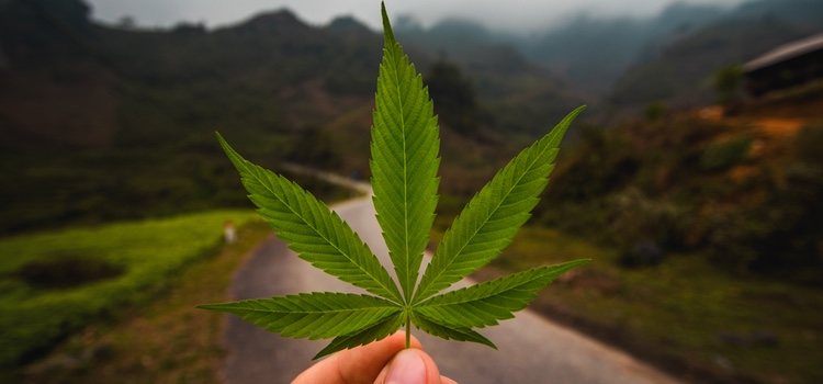 Los highsexuales dicen sentir que sus preferencias sexuales cambian al consumir marihuana